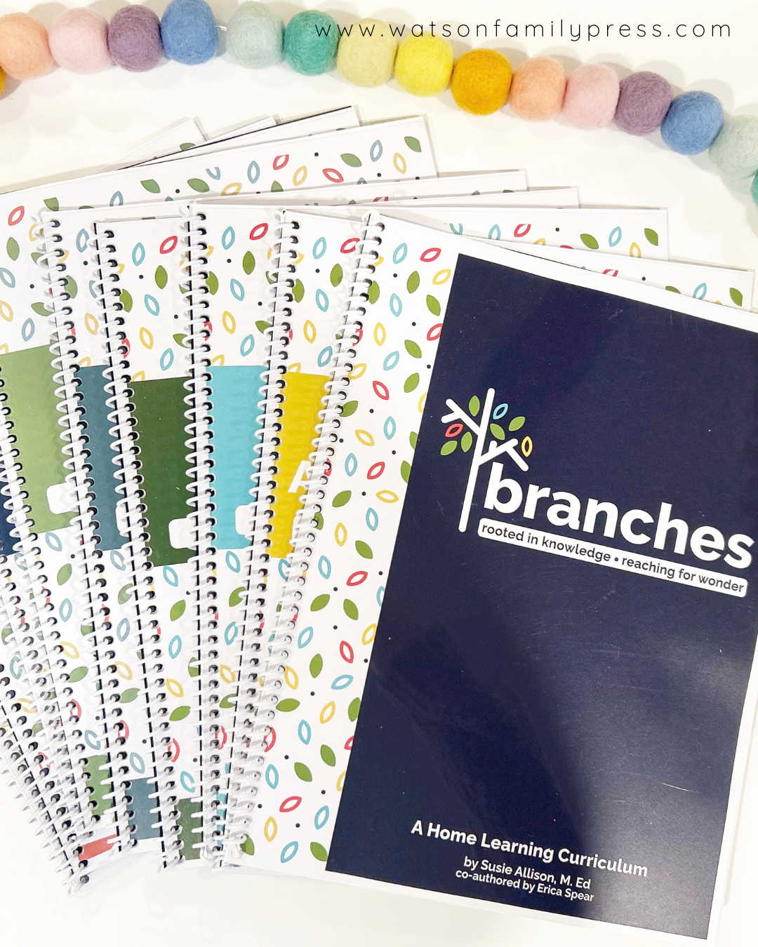 Branches Curriclum Bundle, Year One - Individual Spiral Bound Units