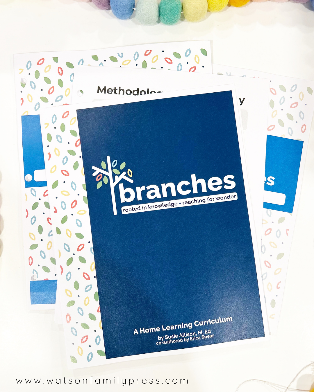 Branches Curriclum Bundle, Year One - Three Hole Punch