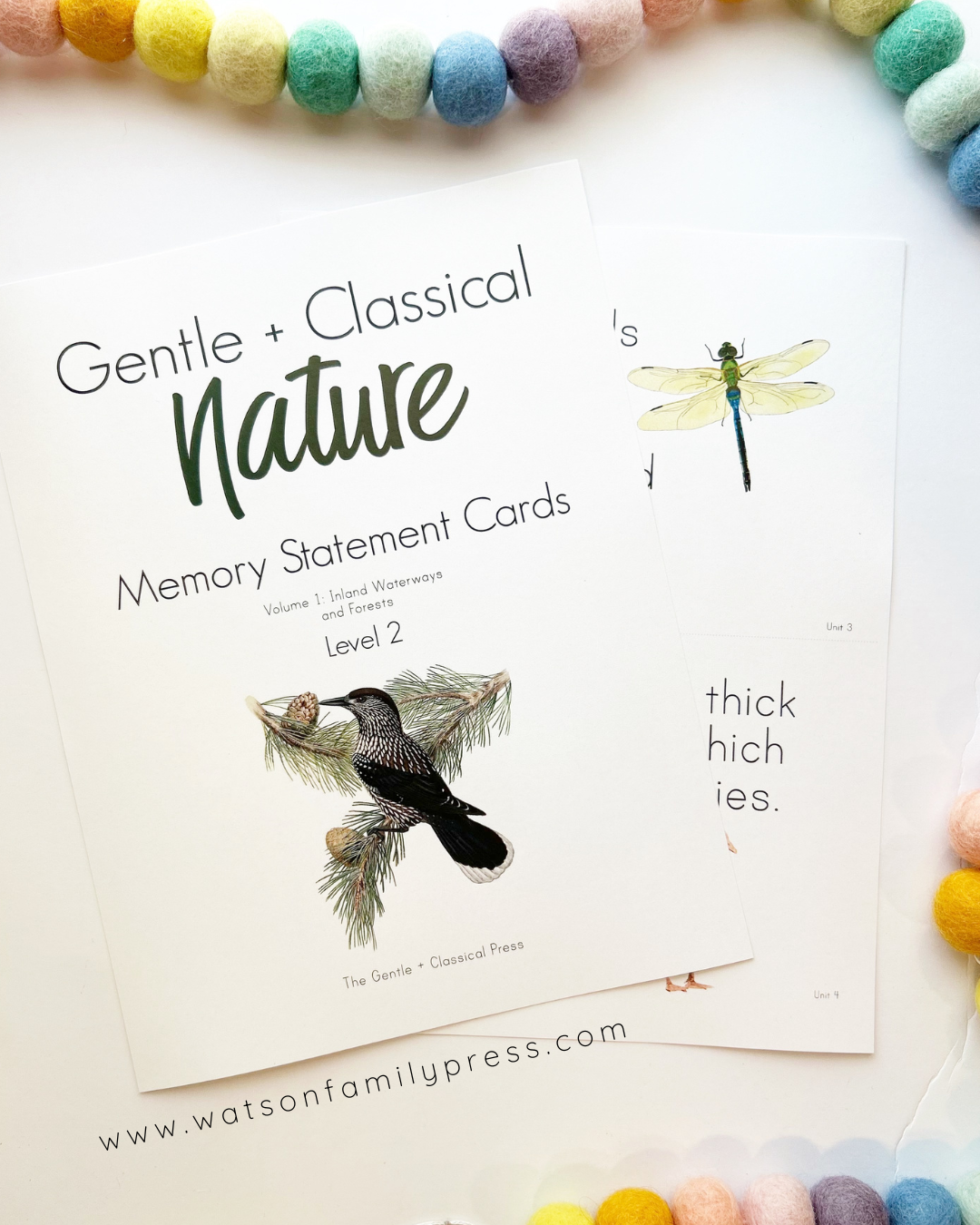 Nature Volume 1 Memory Statement Cards
