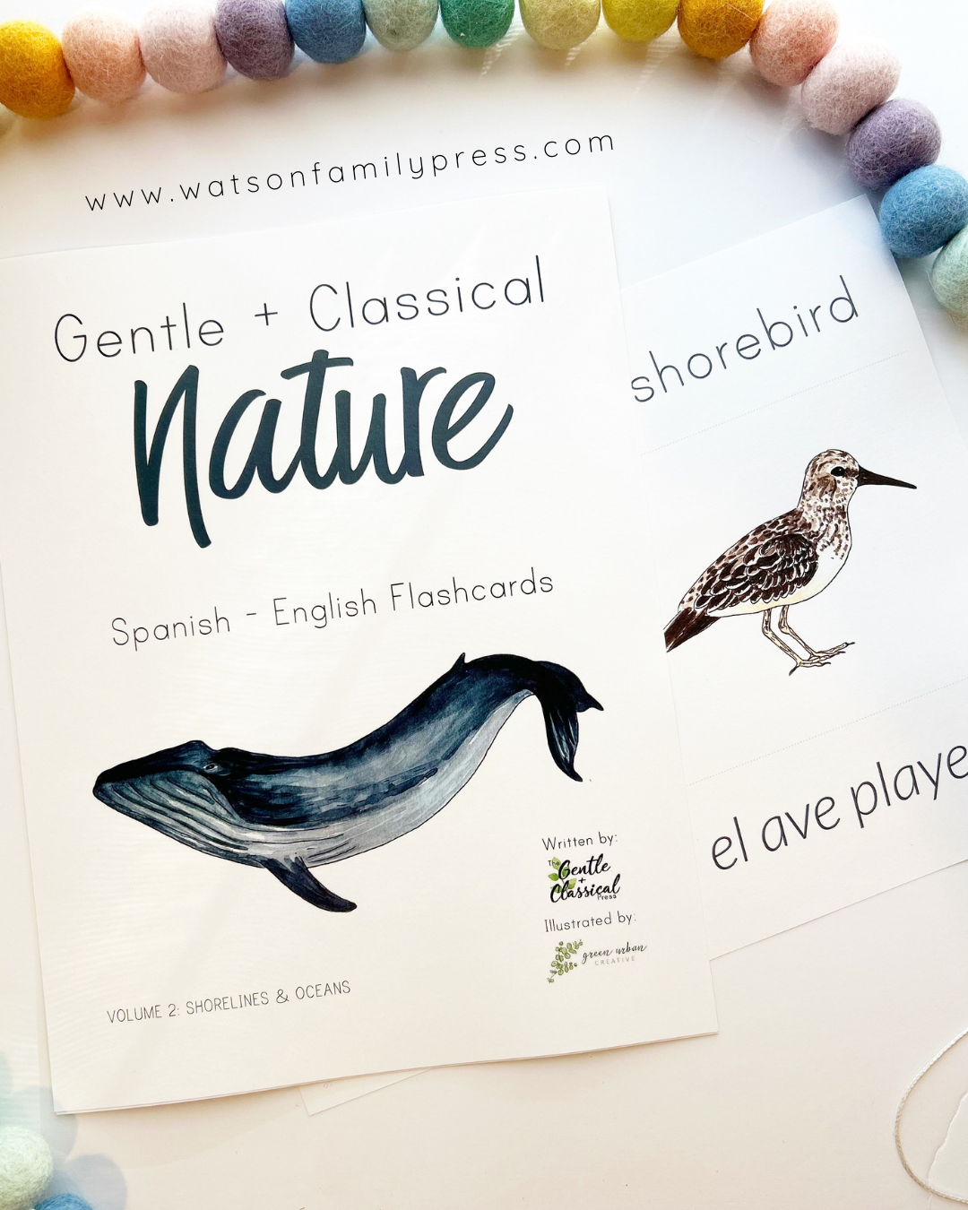 Spanish-English flashcard deck titled 'Gentle + Classical Nature' with illustrated whale and shorebird drawings, photographed on a light surface with colorful pom-poms around the edges.