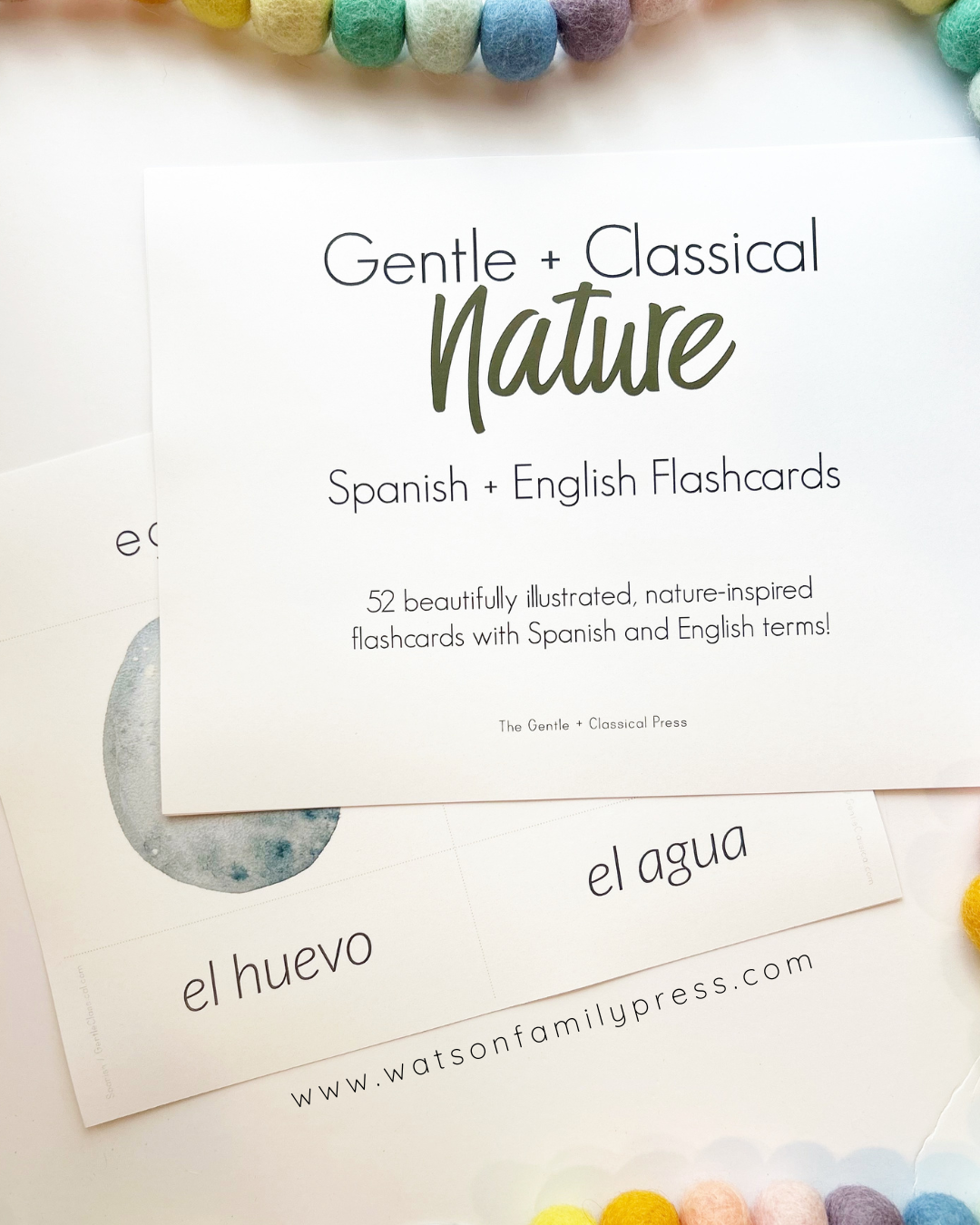 Nature Volume 1 Foreign Language Flash Cards