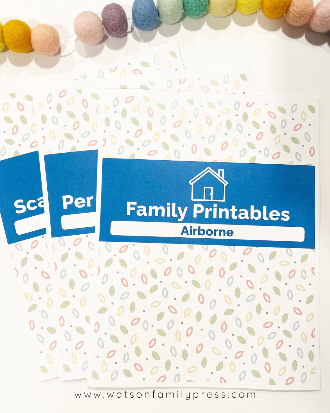Printables titled 'Airborne' by Offshoots Learning with colorful cover design on a white background.