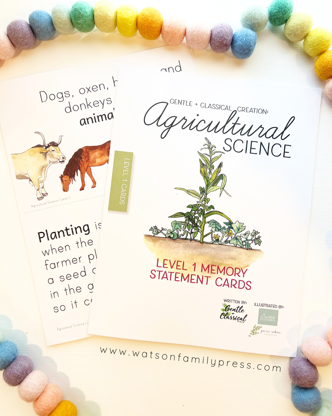 Two printed memory statement cards for 'Agricultural Science' Level 1 are displayed on a light cream surface, surrounded by a colorful garland of pastel pom-poms. The cards feature watercolor illustrations of a plant in a pot and farm animals.