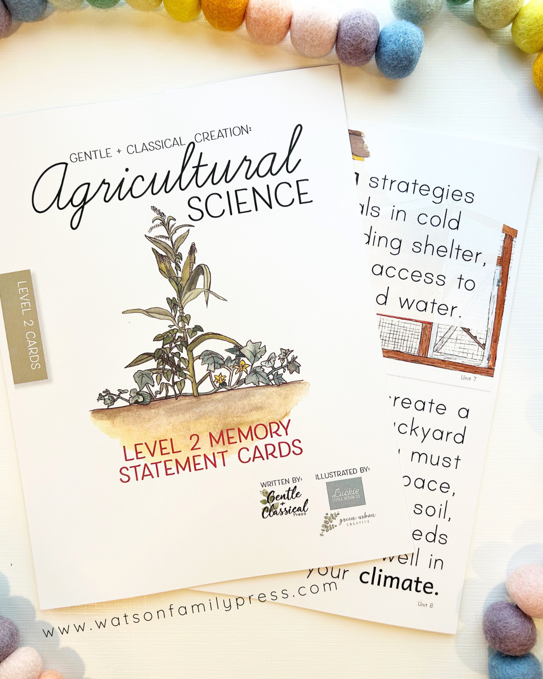 A flat-lay view of printed statement card decks titled 'Agricultural Science' on a white background with pastel pom-pom balls around the edges. The front card shows a botanical illustration and the text 'Level 2 Memory Statement Cards'; another card is partially visible behind it.