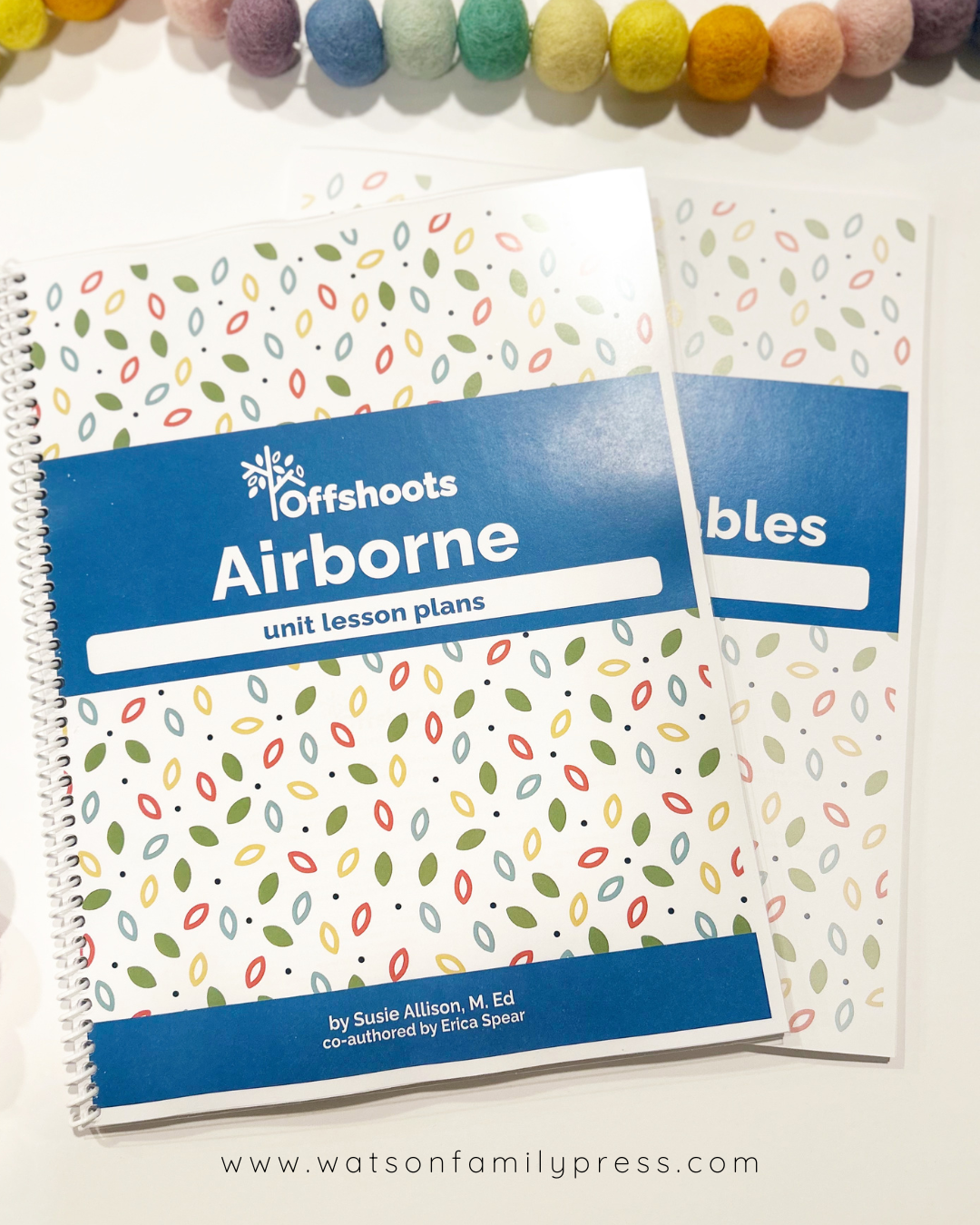 Book entitled "Airborne Unit Lesson Plans" from Offshoots Learning with a colorful cover on a white background with colorful balls