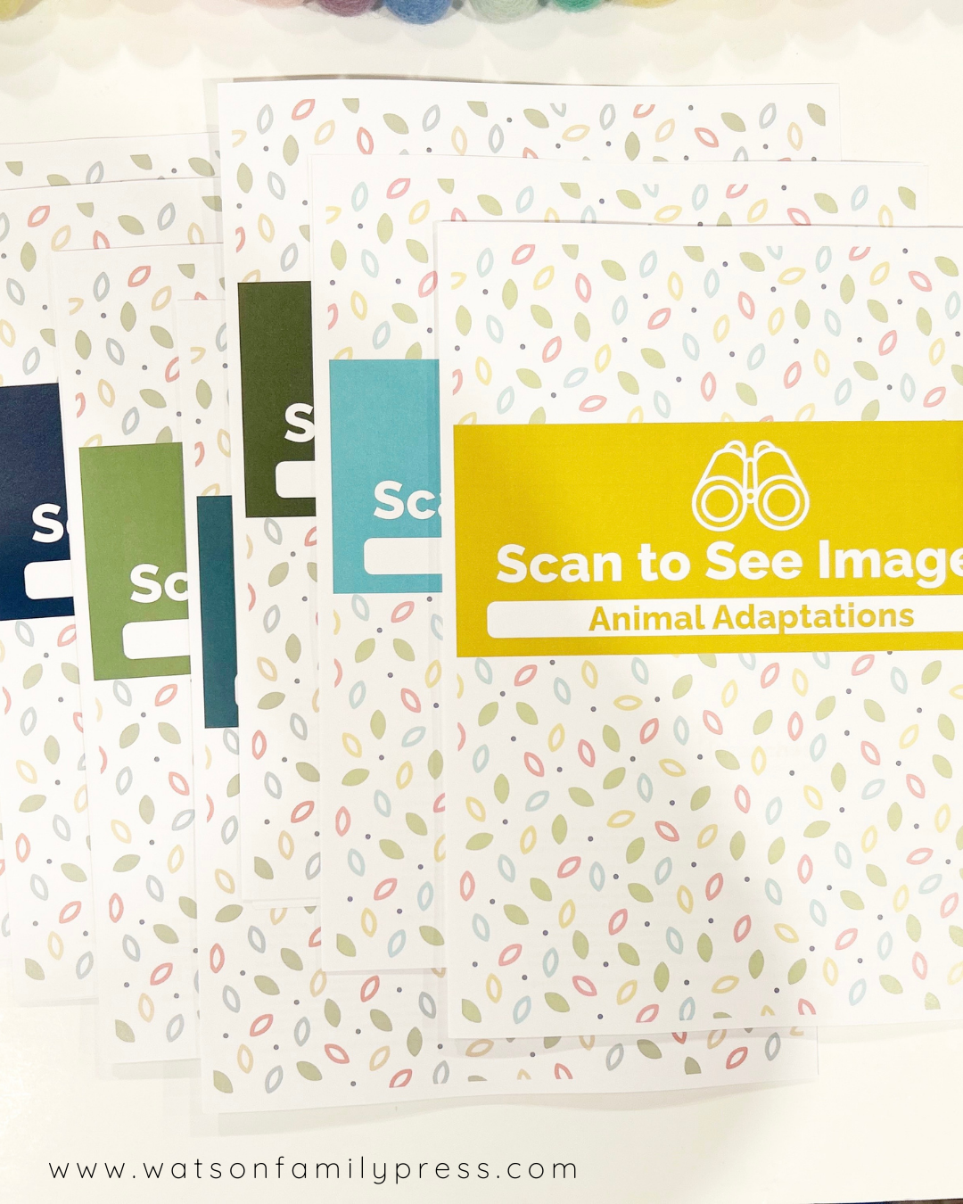 Branches Curriclum Bundle, Year One -  Individual Spiral Bound Units