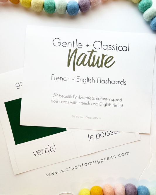 Nature Volume 1 Foreign Language Flash Cards