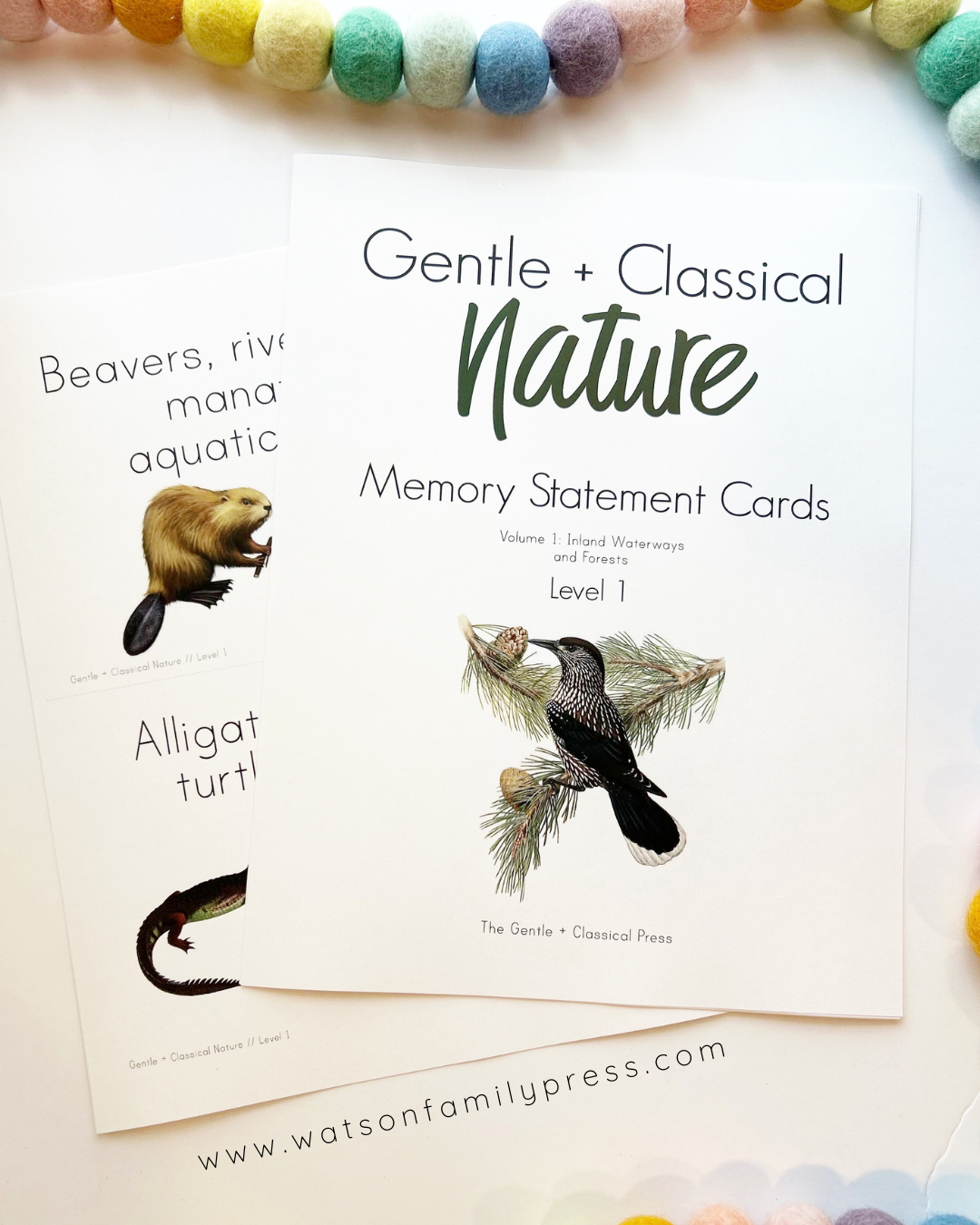 Nature Volume 1 Memory Statement Cards