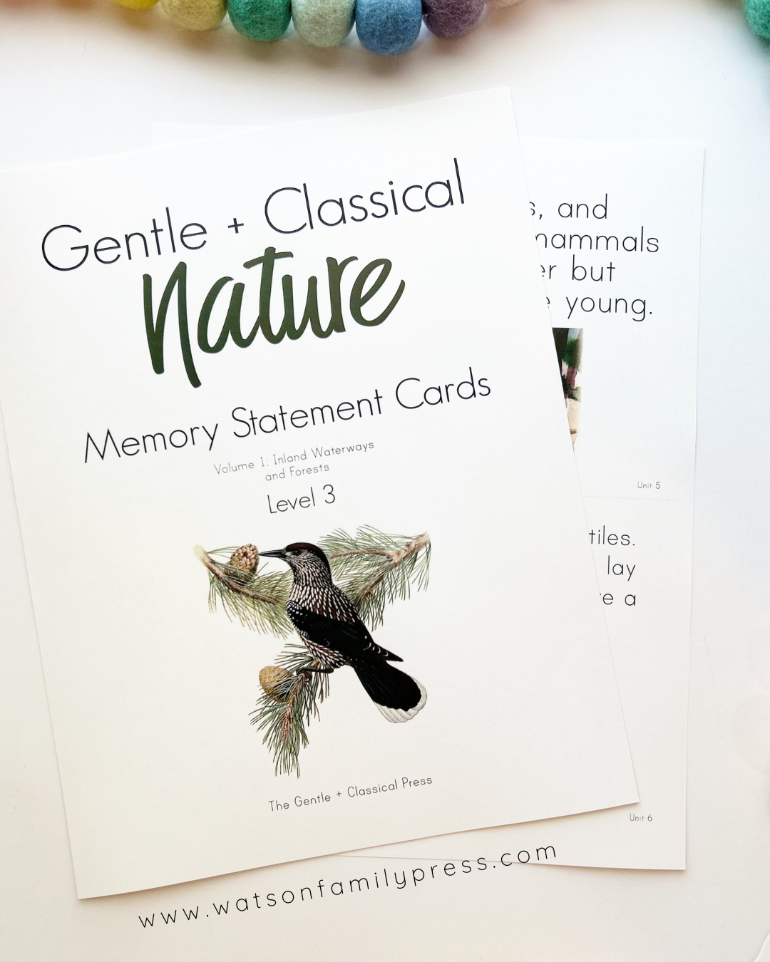 Nature Volume 1 Memory Statement Cards