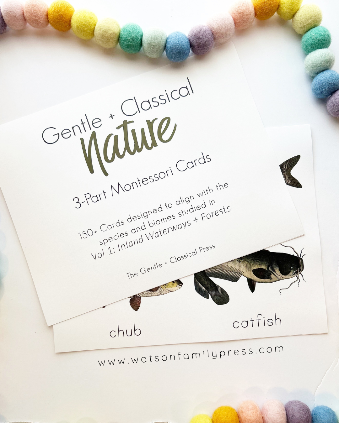 Nature Volume 1 Montessori Flash Cards