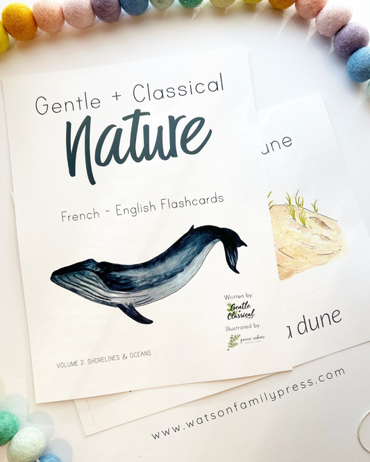 A flat-lay photograph of French-English flashcards from the 'Gentle + Classical Nature' series 