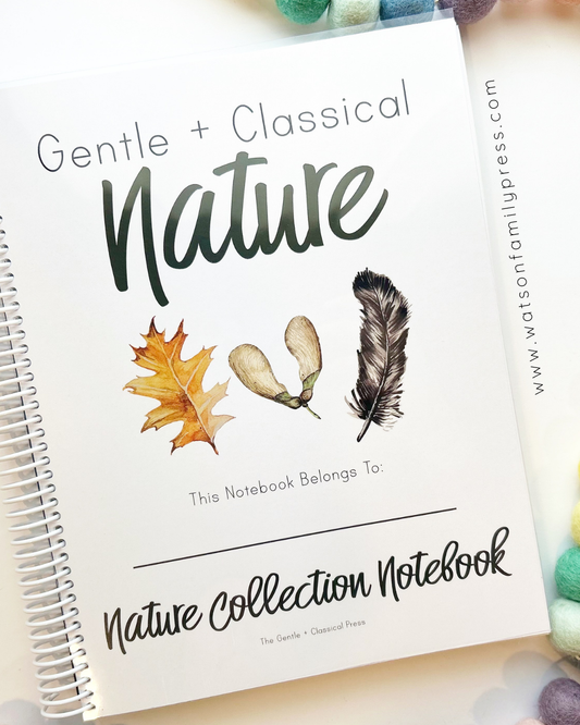 A spiral-bound notebook titled 'Gentle + Classical Nature: Natural Collection Notebook' with watercolor illustrations of an oak leaf, acorns, and a feather on the cover, photographed on a light surface with colorful pom-poms around it.