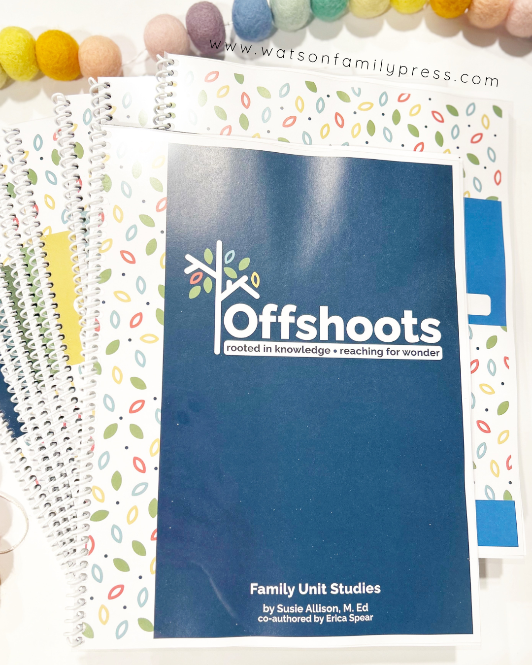 A collection of spiral bound unit lessons books of Offshoots Learning with colorful covers laid out on a white background.