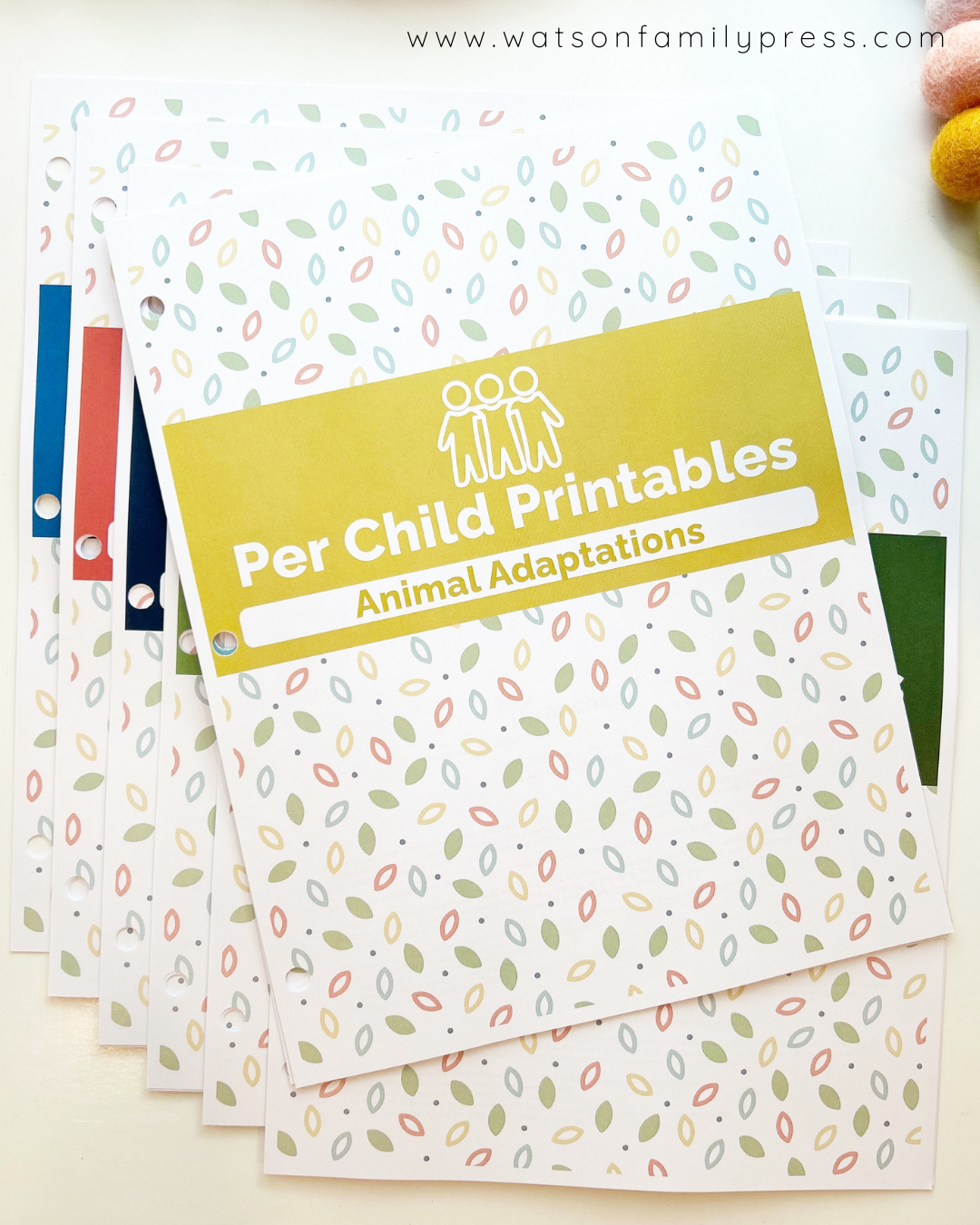Branches Curriclum Bundle, Year One -  One Spiral Bound Book