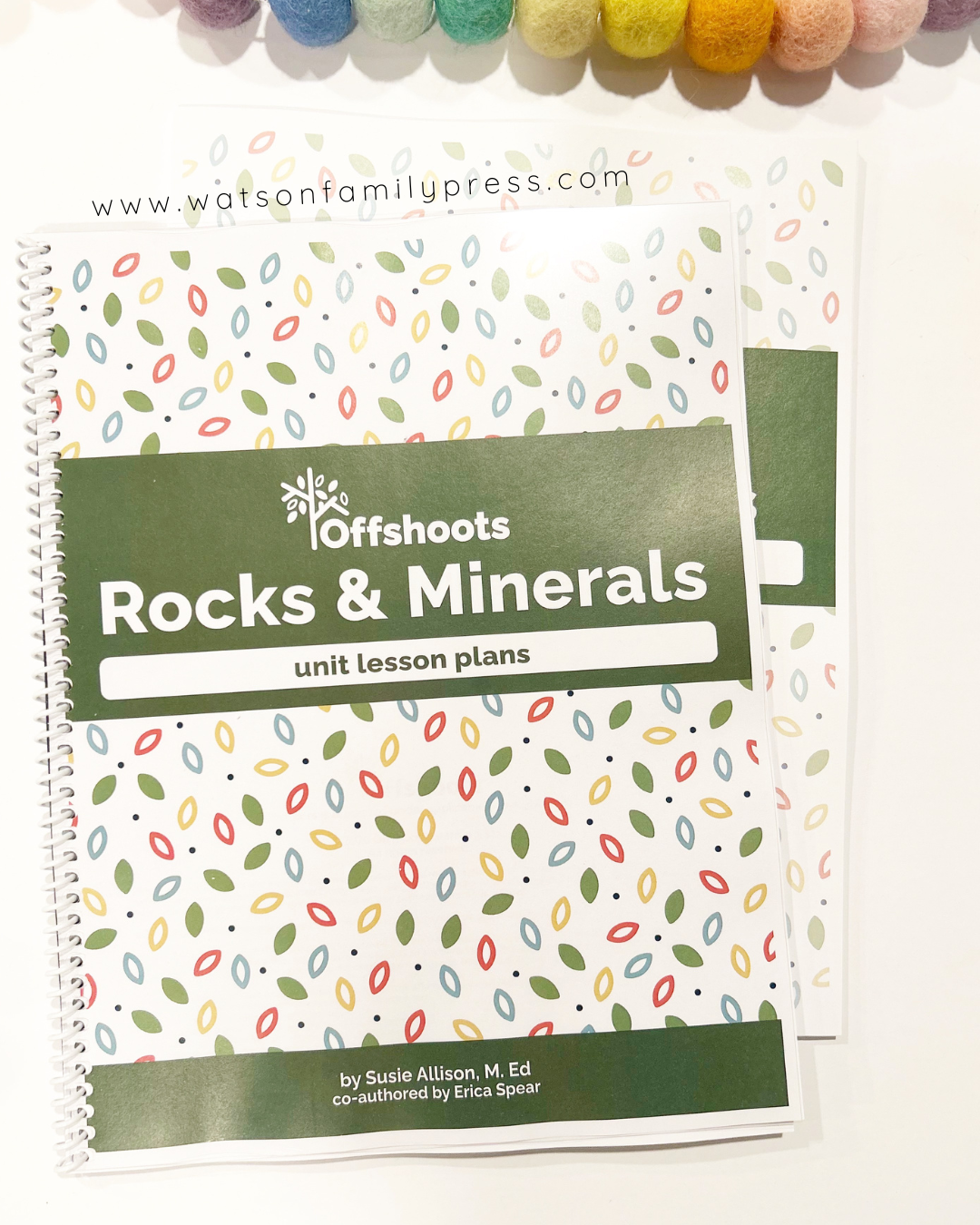 Book titled 'Offshoots Rocks & Minerals unit lesson plans' by Watson Family Press on a white background.