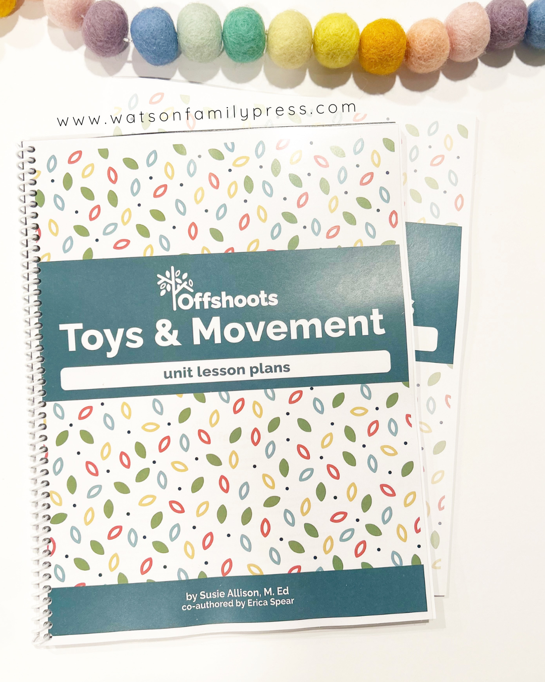 Book titled 'Offshoots Toys & Movement unit lesson plans' by Watson Family Press on a white background.