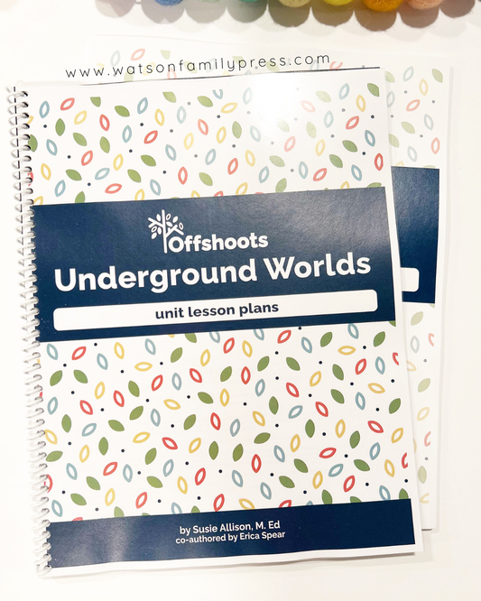 Spiral-bound book titled 'Offshoots Underground Worlds unit lesson plans' by Susie Allison on a white background.